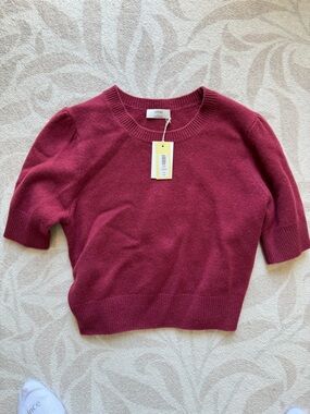 Wilfred (Aritzia Brand) Short Sleeve Crewneck Sweater in Burgundy